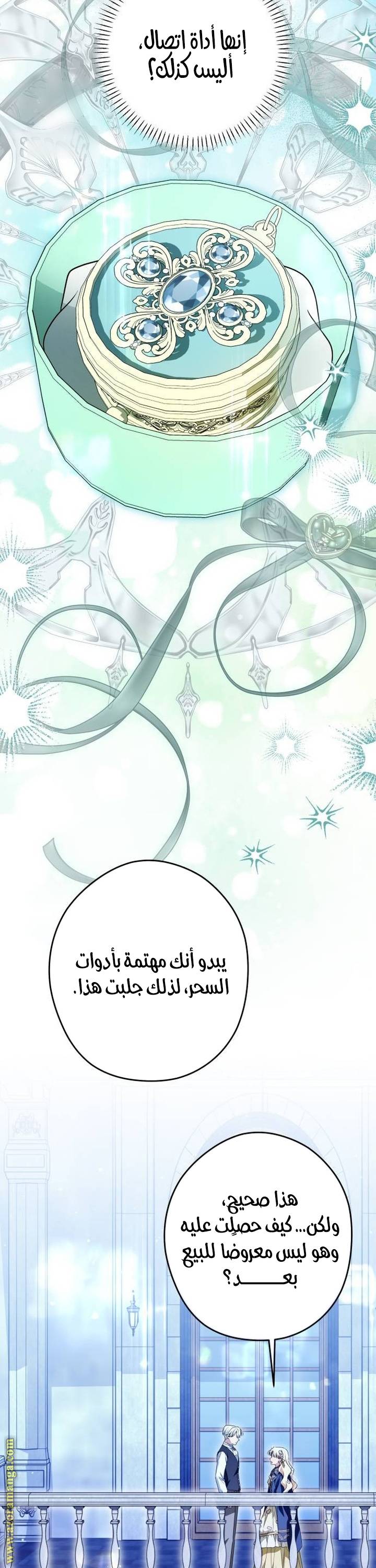 الصفحة 26