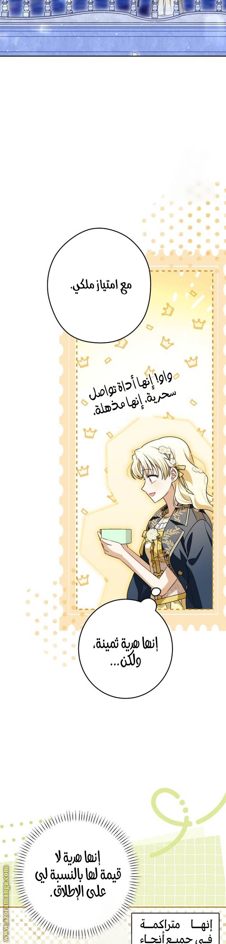 الصفحة 27