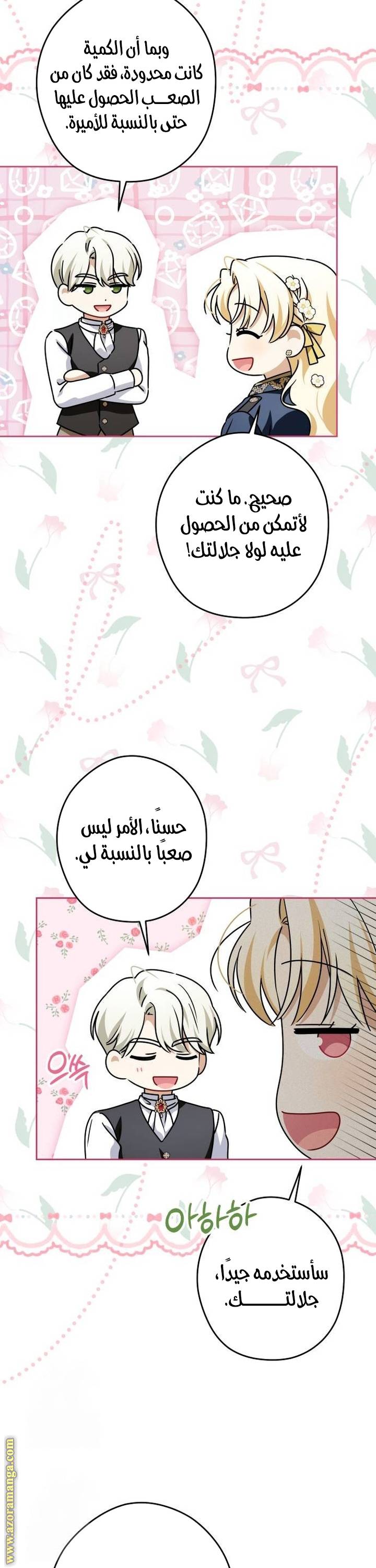 الصفحة 29