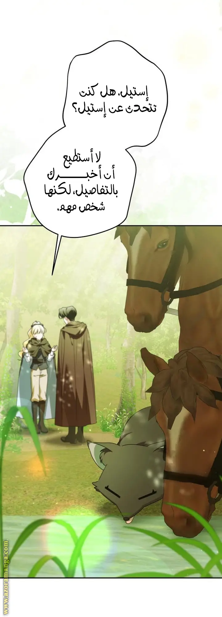 الصفحة 13