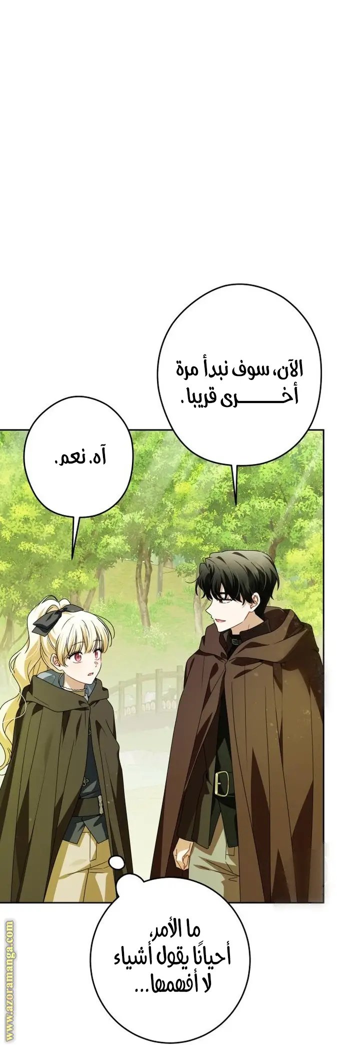 الصفحة 17