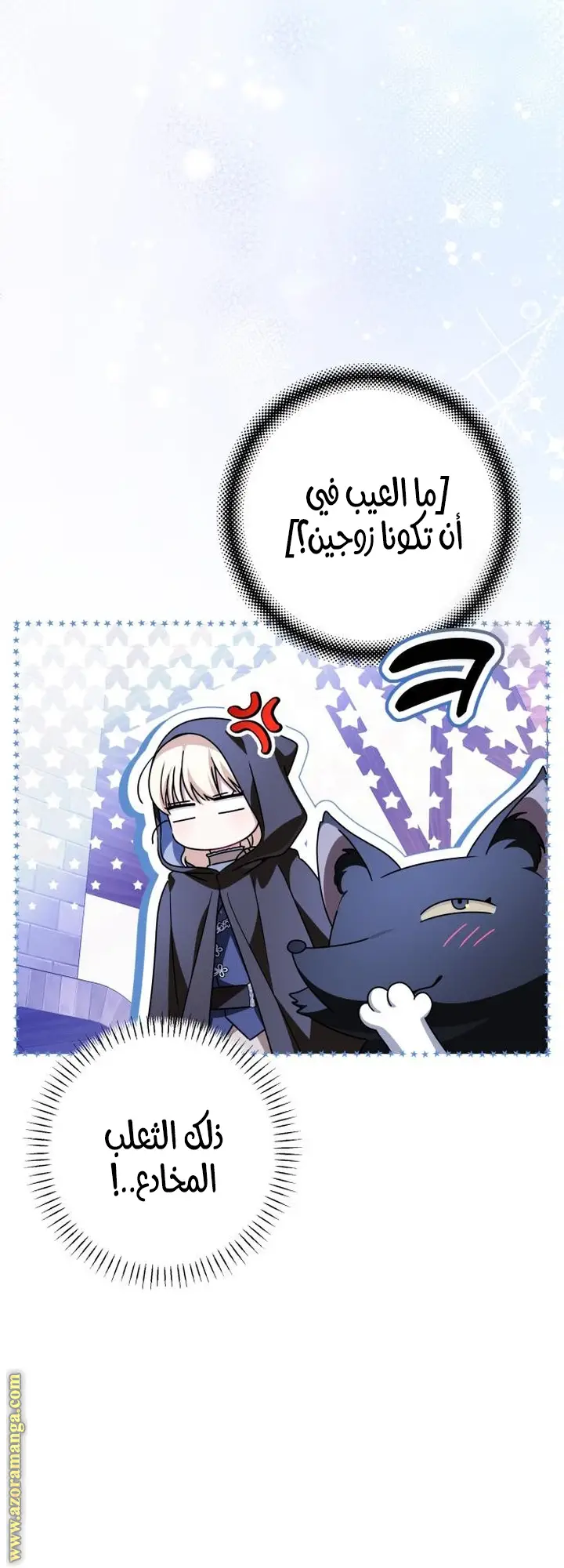 الصفحة 25