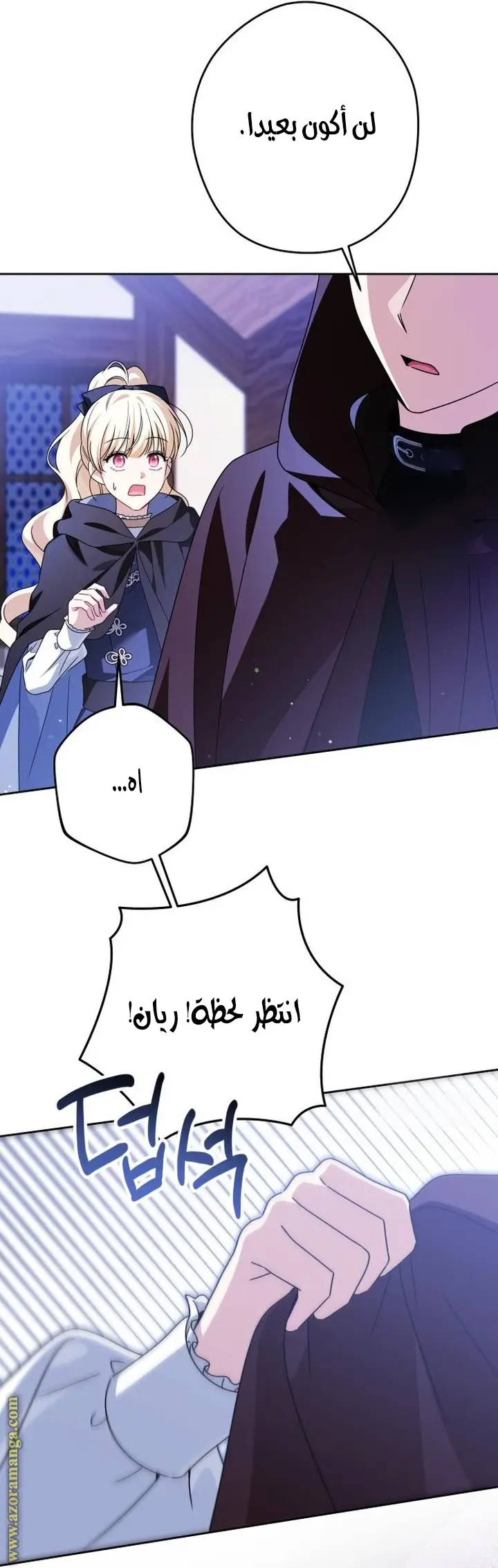 الصفحة 29
