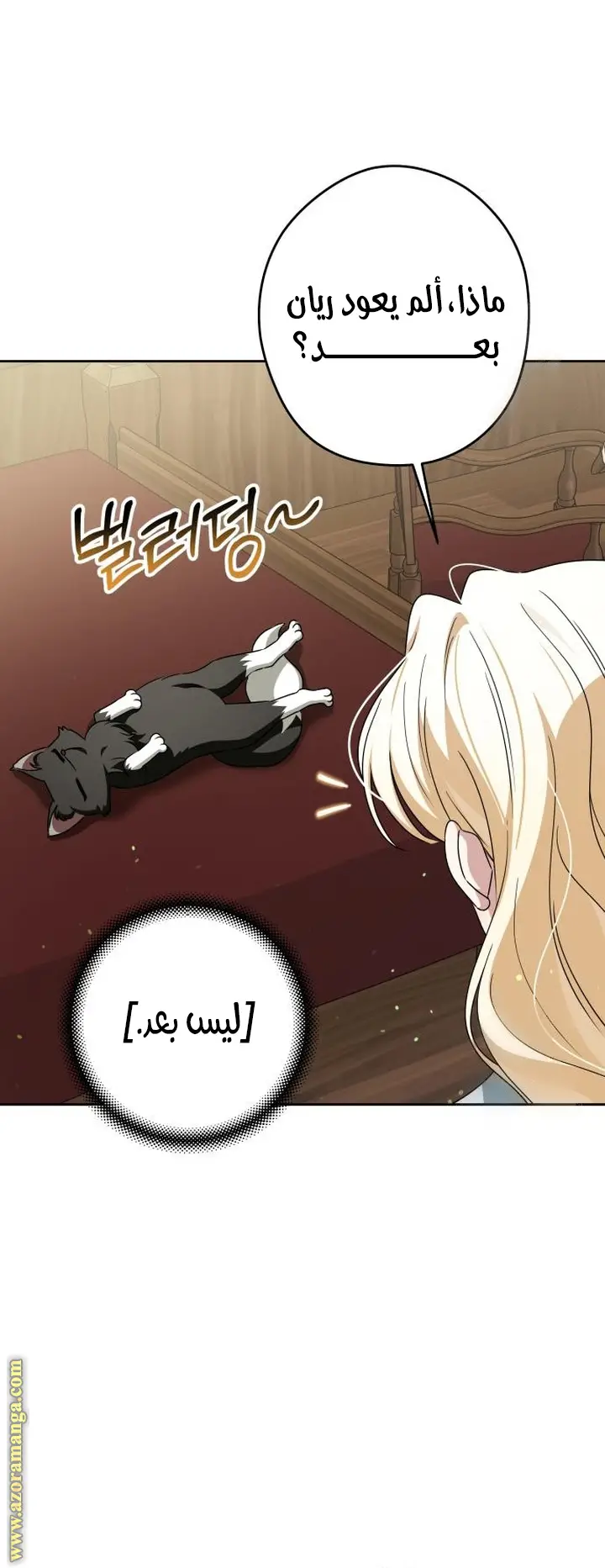 الصفحة 38