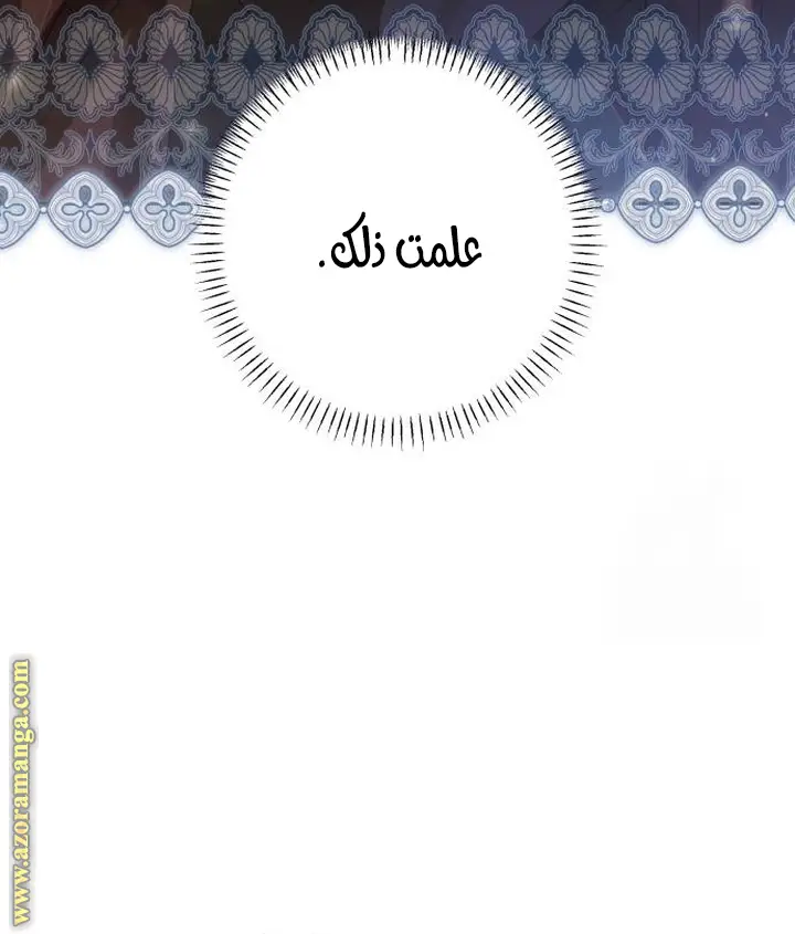 الصفحة 41