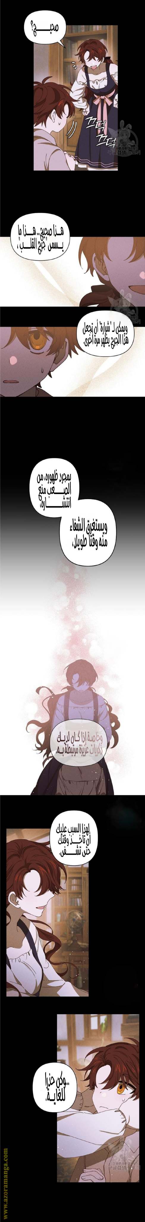 الصفحة 11