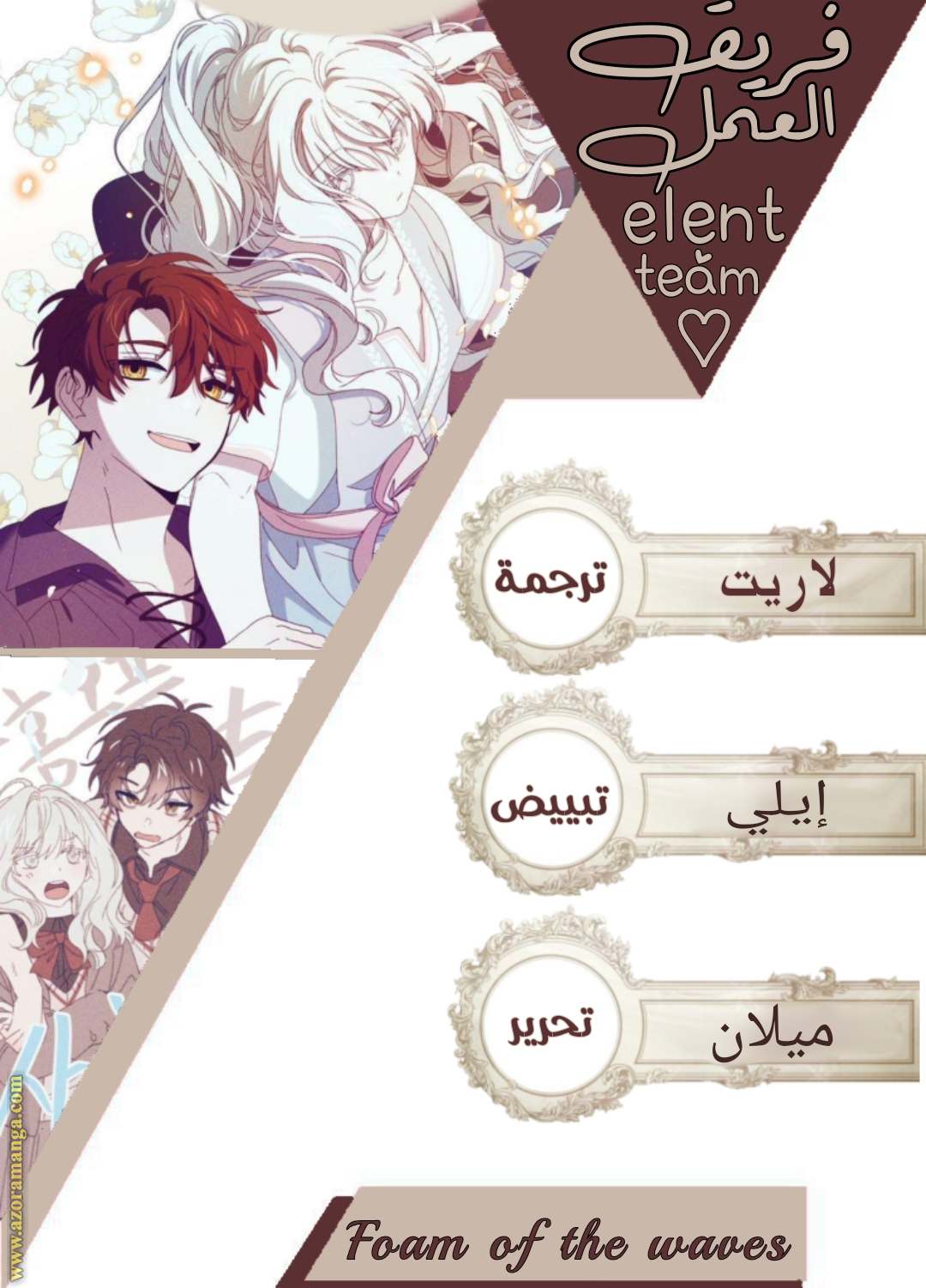 الصفحة 17
