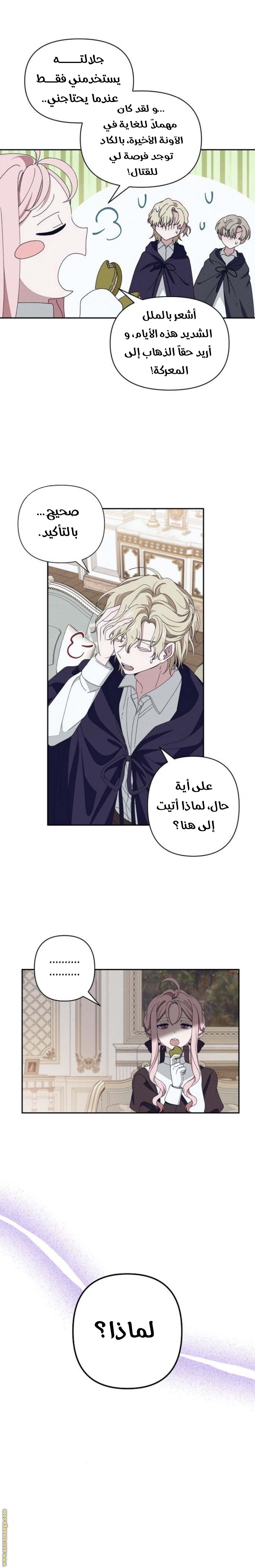 الصفحة 8