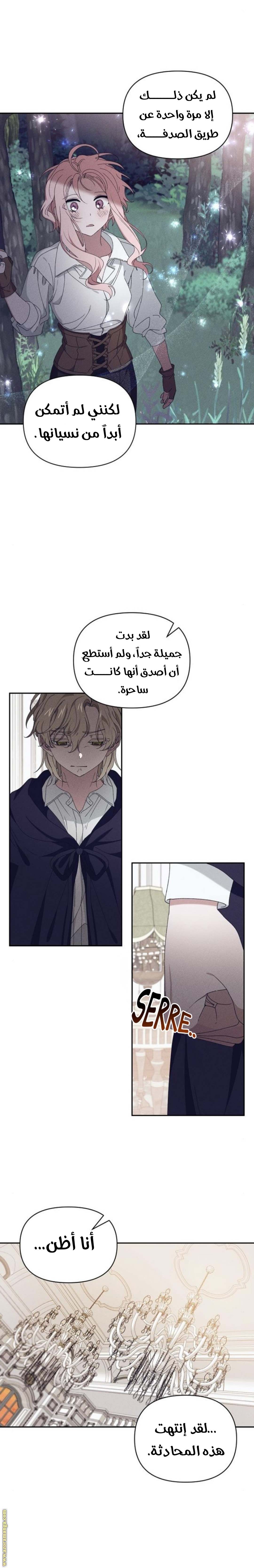 الصفحة 14