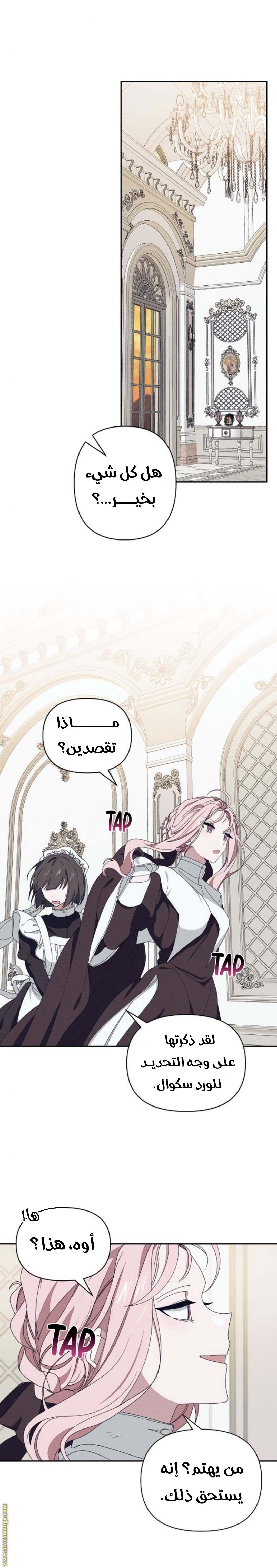 الصفحة 17