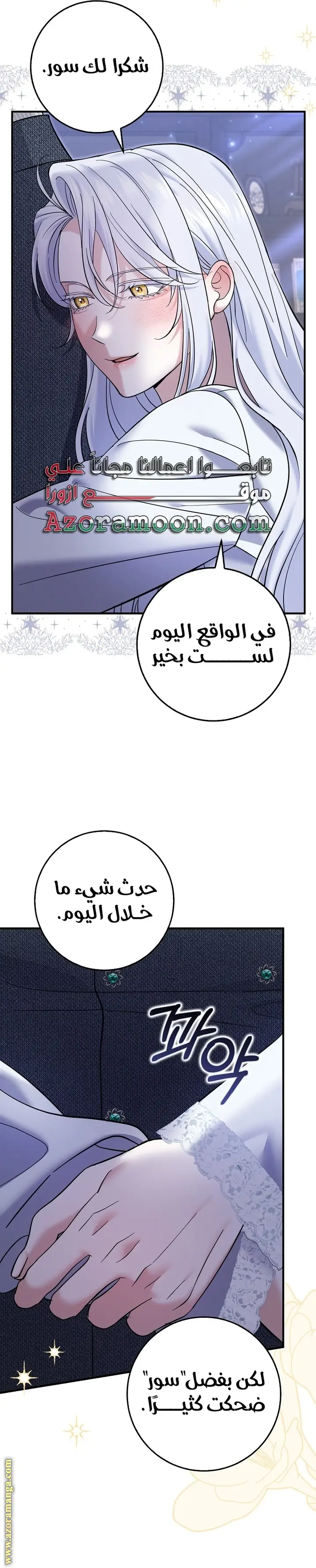 الصفحة 17