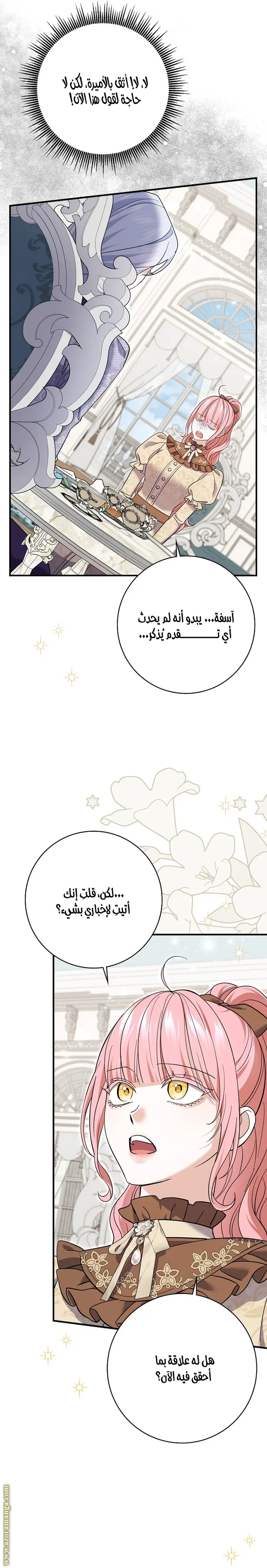 الصفحة 25