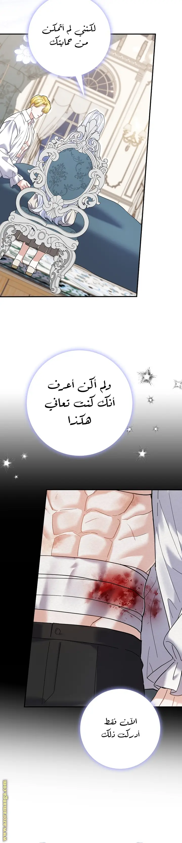 الصفحة 21