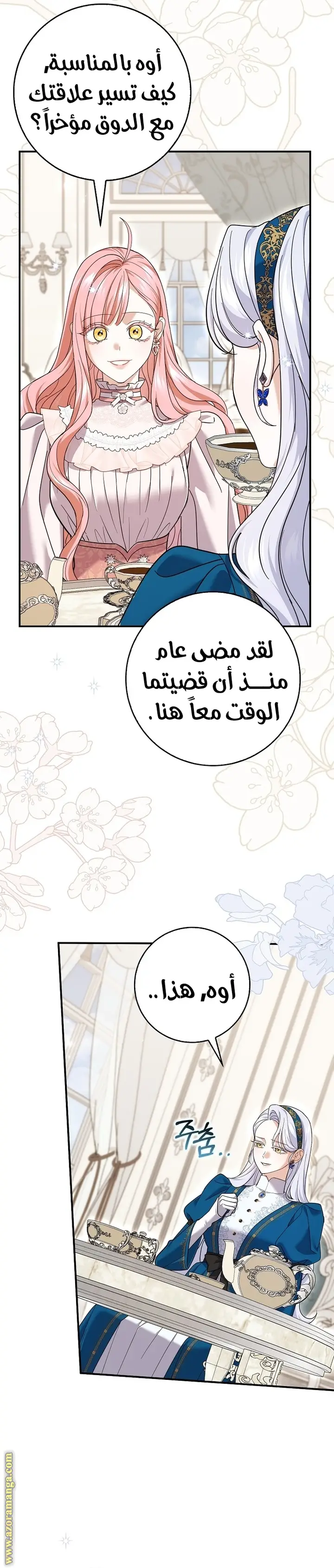 الصفحة 19