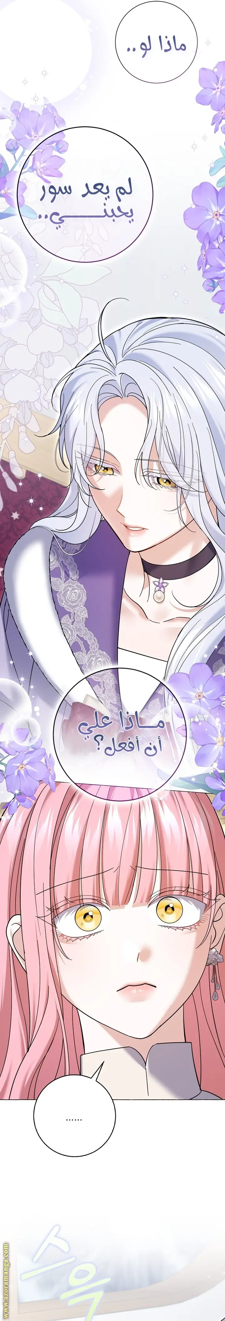 الصفحة 27