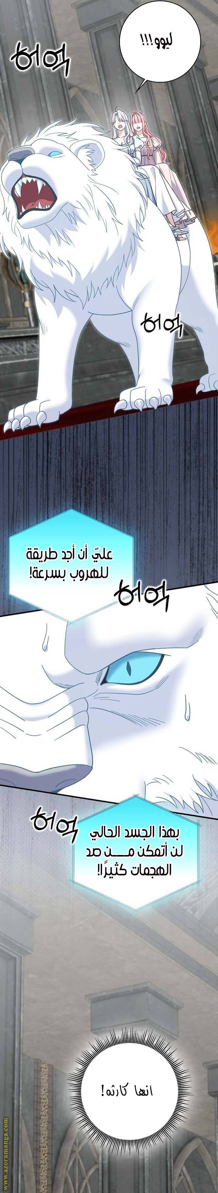 الصفحة 19