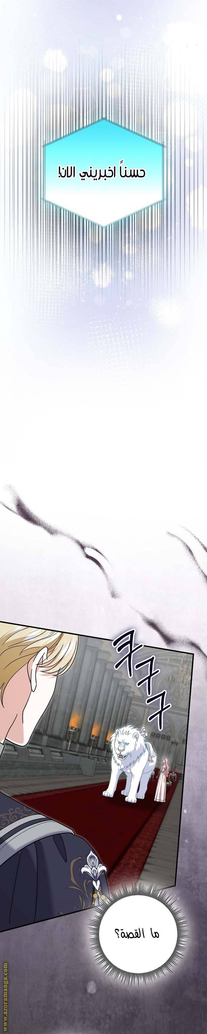 الصفحة 21