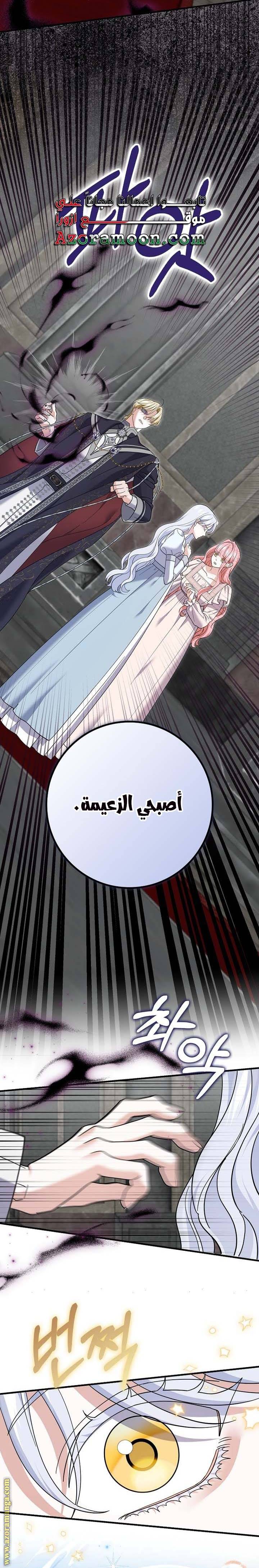 الصفحة 27