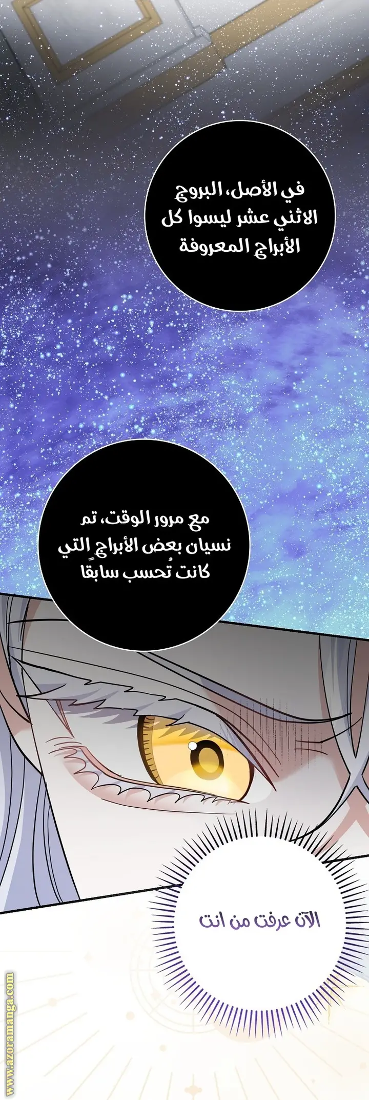 الصفحة 25