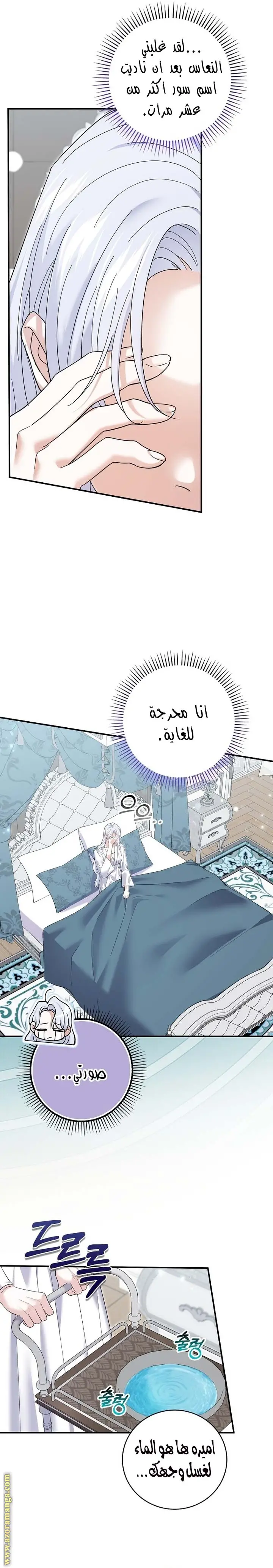الصفحة 8