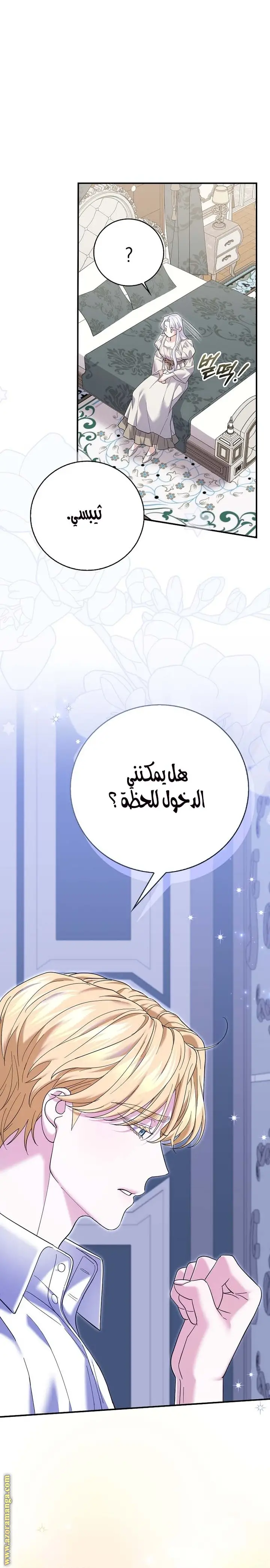 الصفحة 19