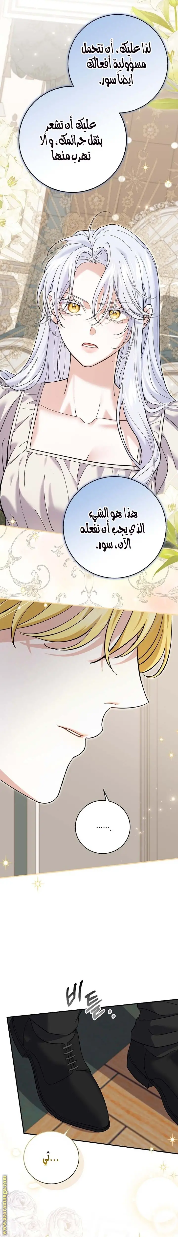 الصفحة 26