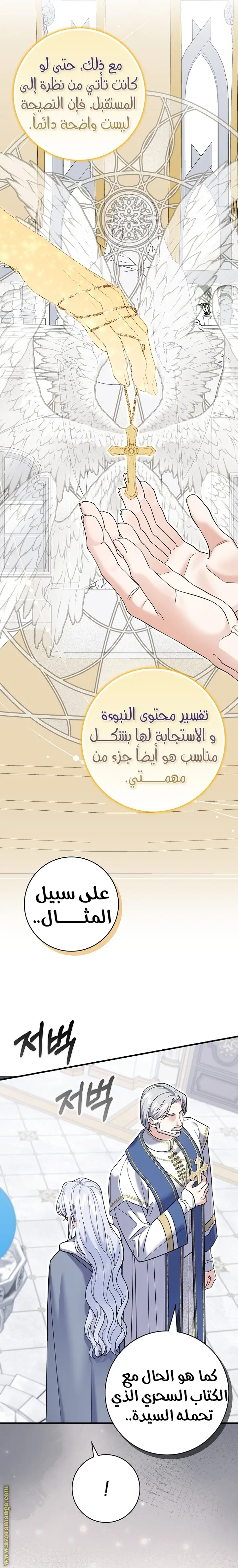 الصفحة 16