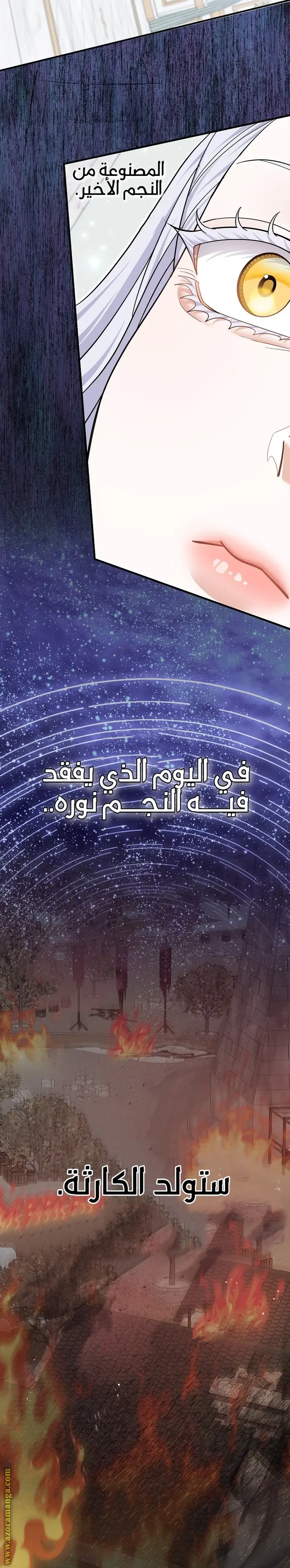 الصفحة 21