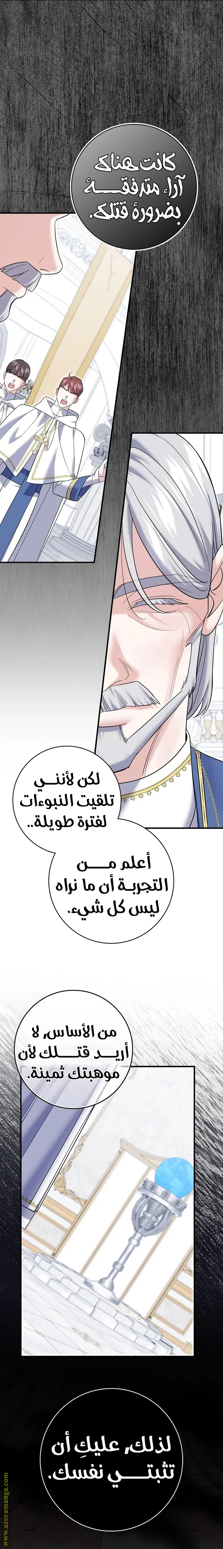 الصفحة 25