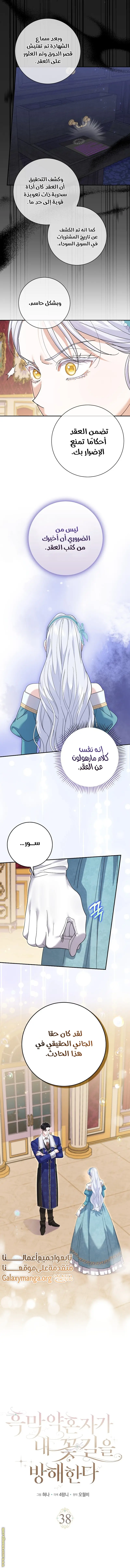 الصفحة 3
