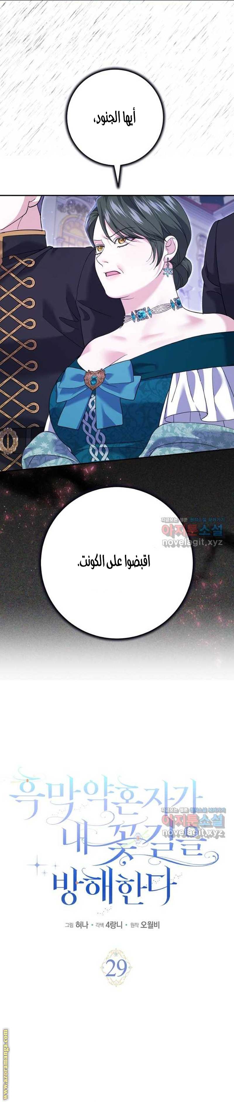 الصفحة 17