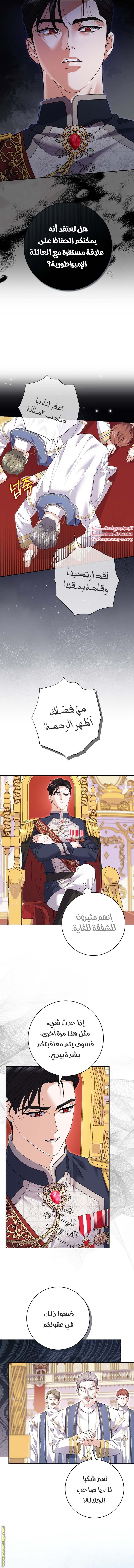 الصفحة 14