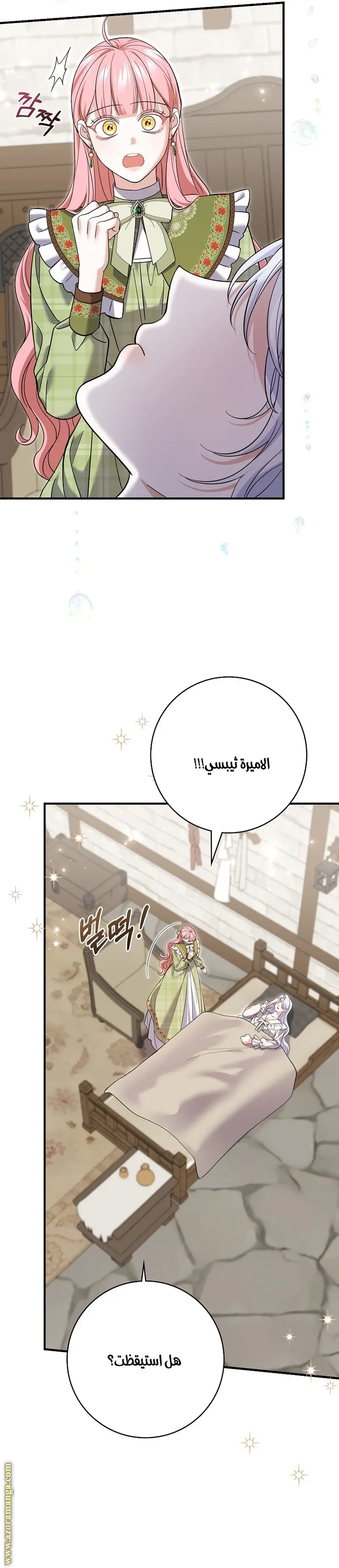الصفحة 25