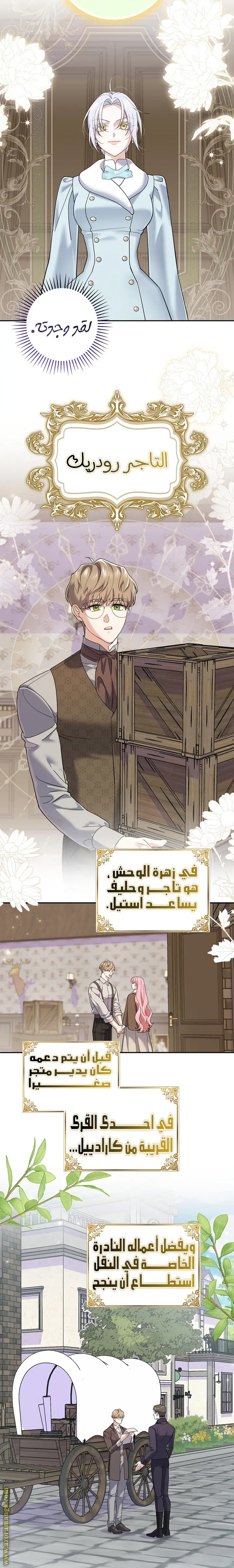 الصفحة 17