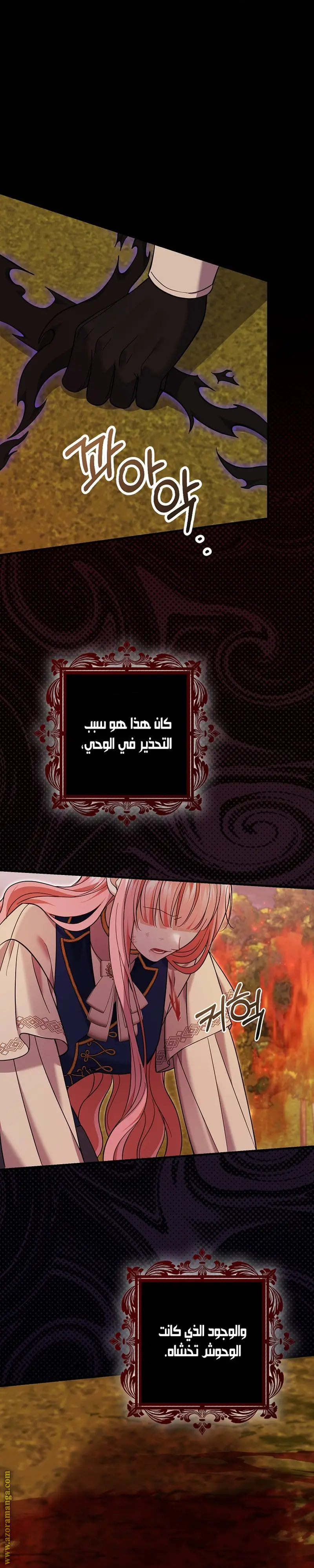 الصفحة 17
