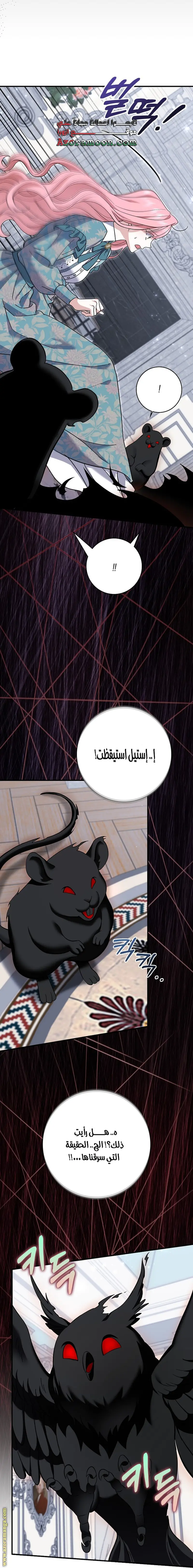 الصفحة 24
