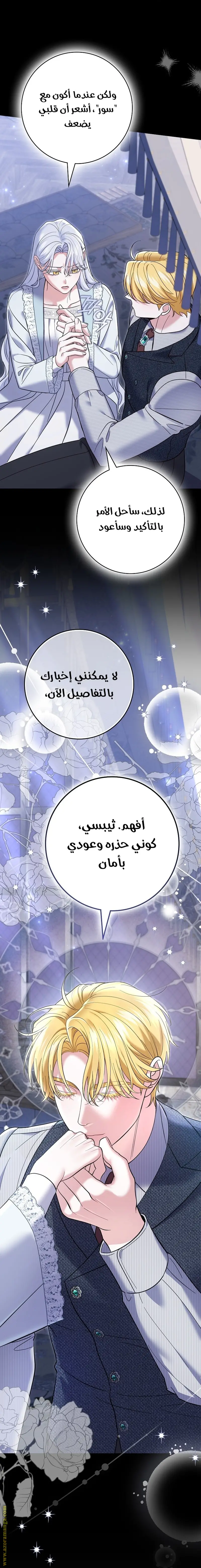 الصفحة 25