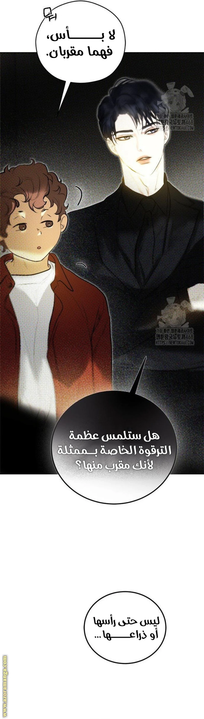 الصفحة 20