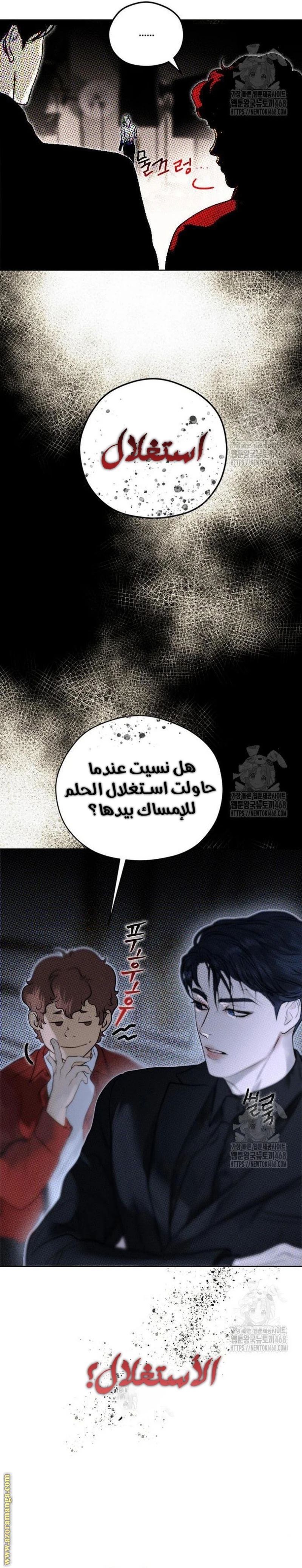 الصفحة 21