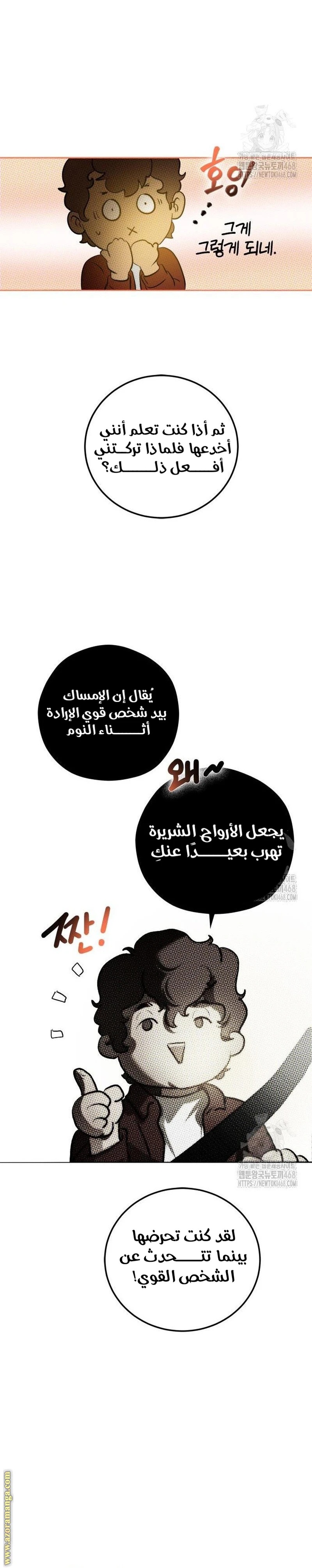 الصفحة 25