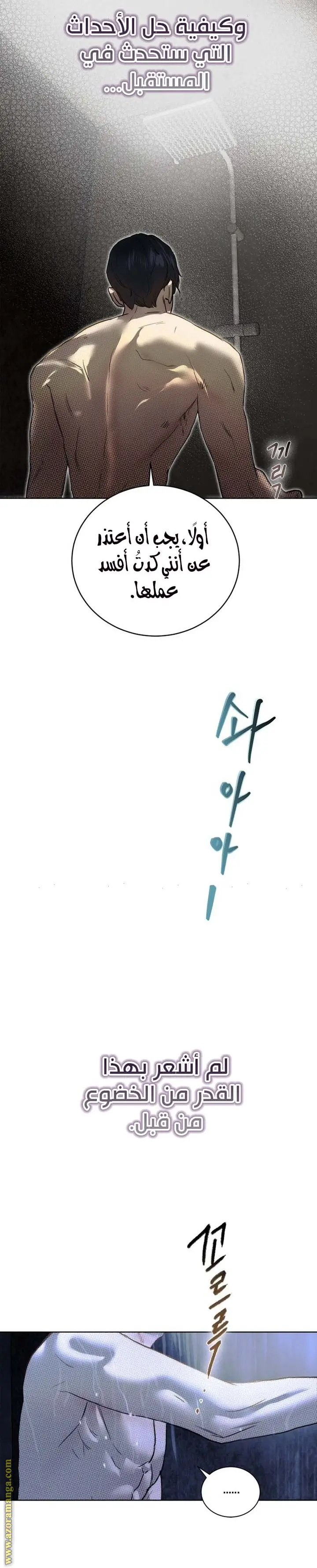 الصفحة 17