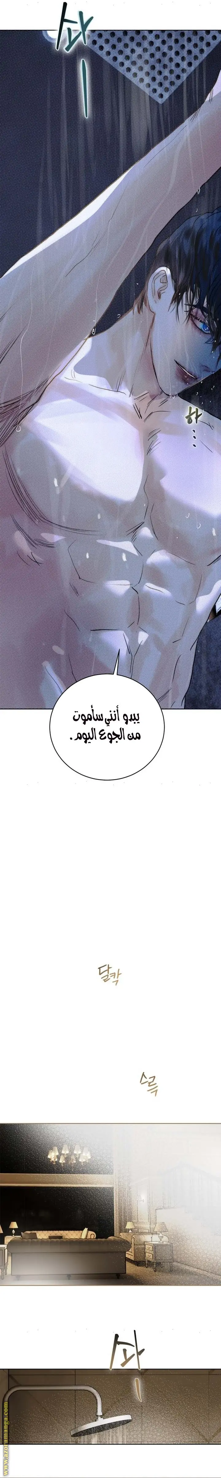 الصفحة 18
