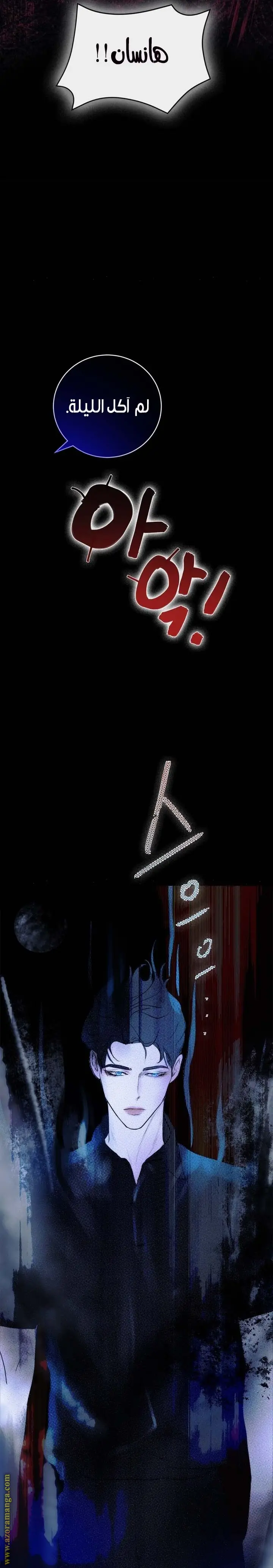 الصفحة 26