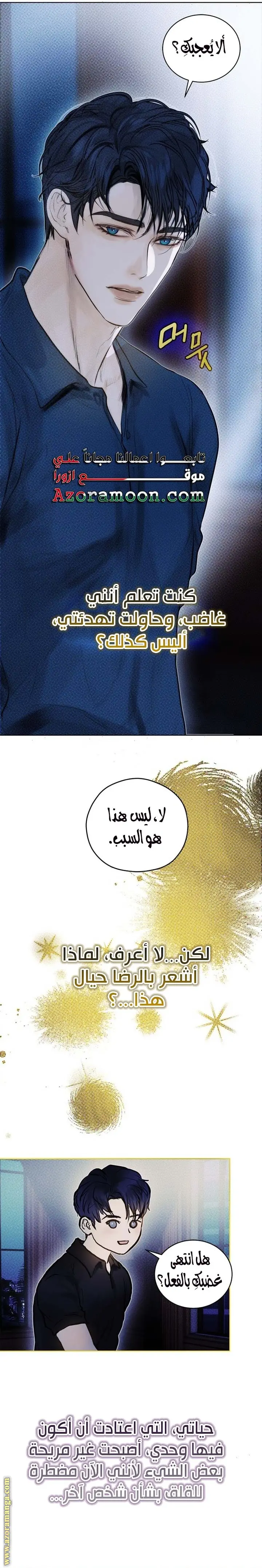 الصفحة 30