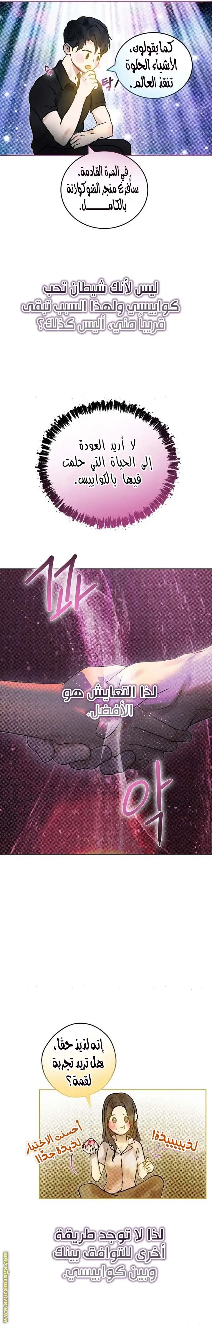 الصفحة 31