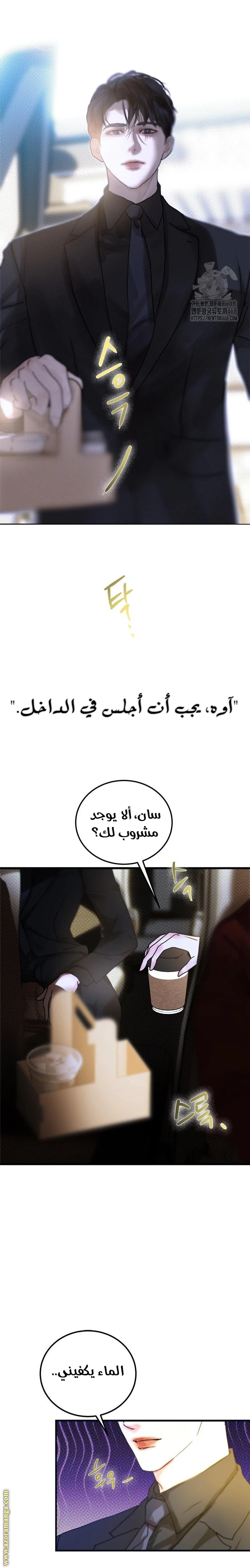 الصفحة 31