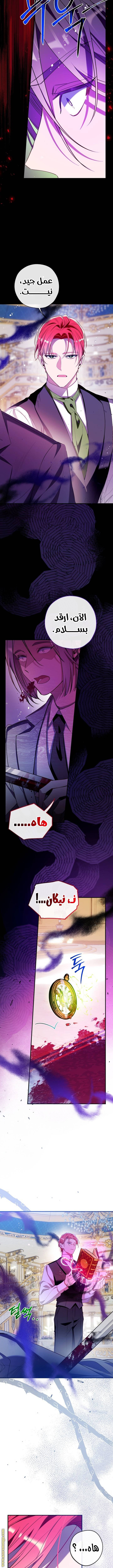 الصفحة 11