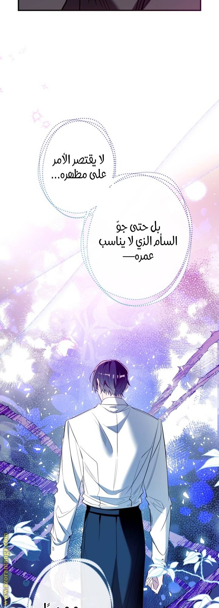 الصفحة 24