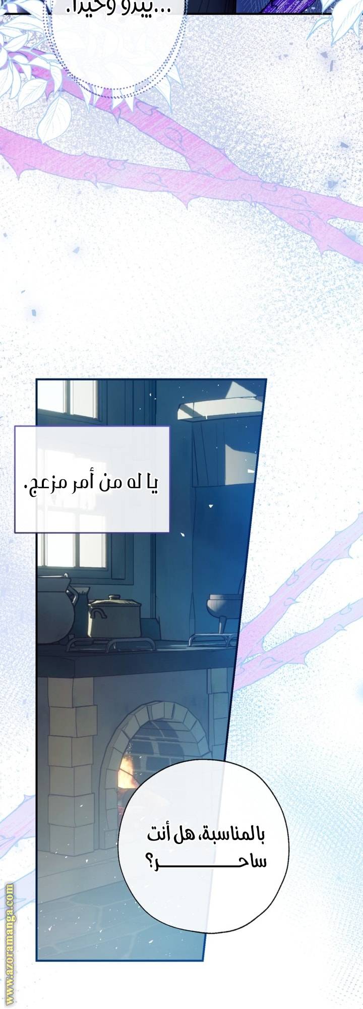 الصفحة 25