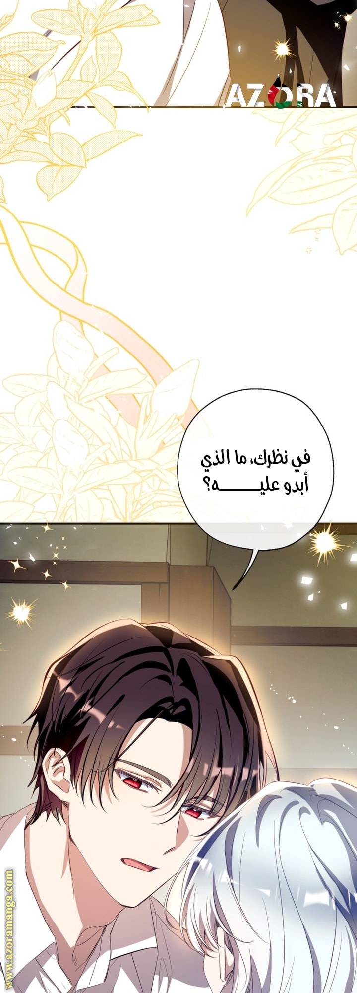 الصفحة 29